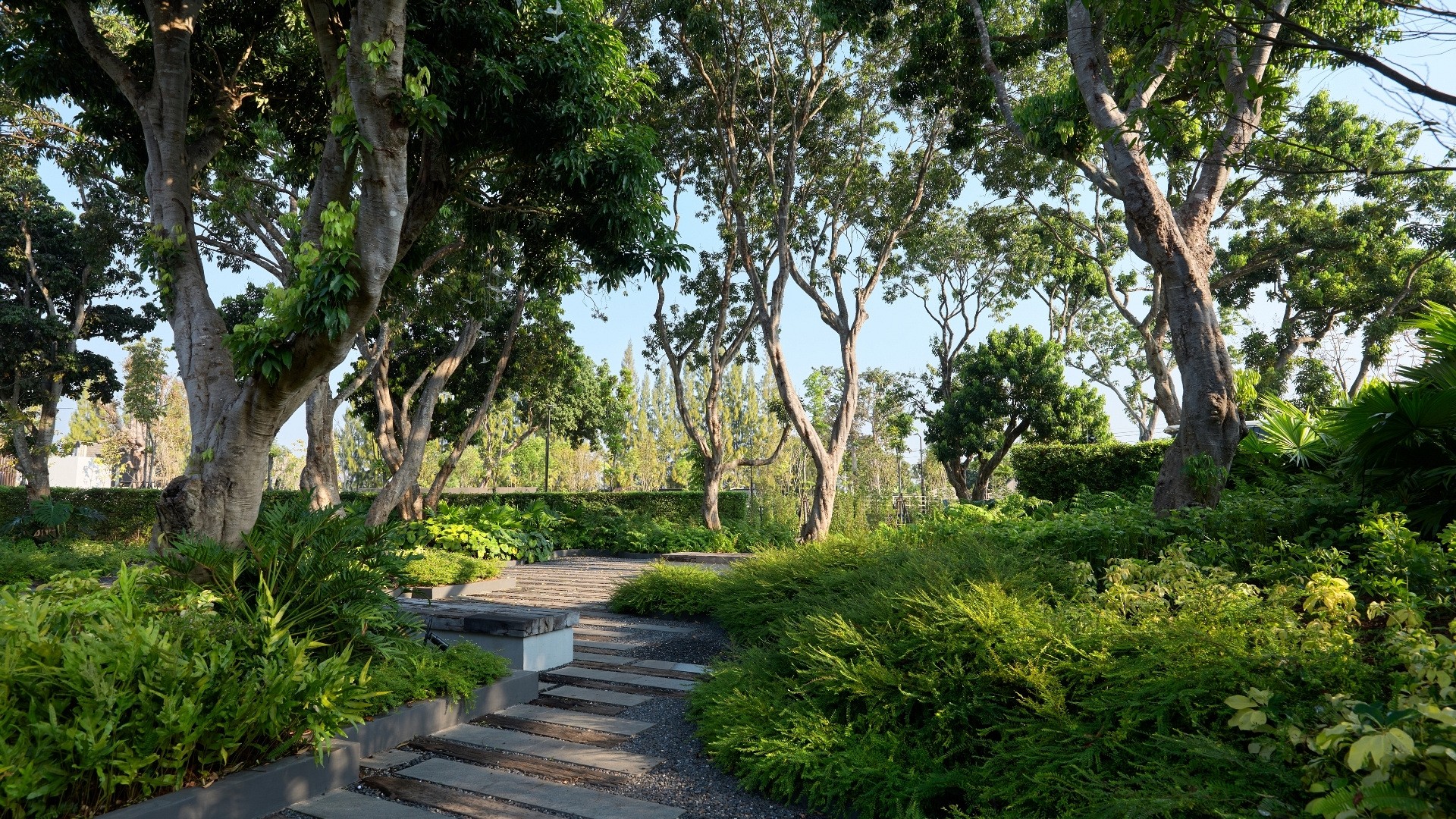 Facilities & Services