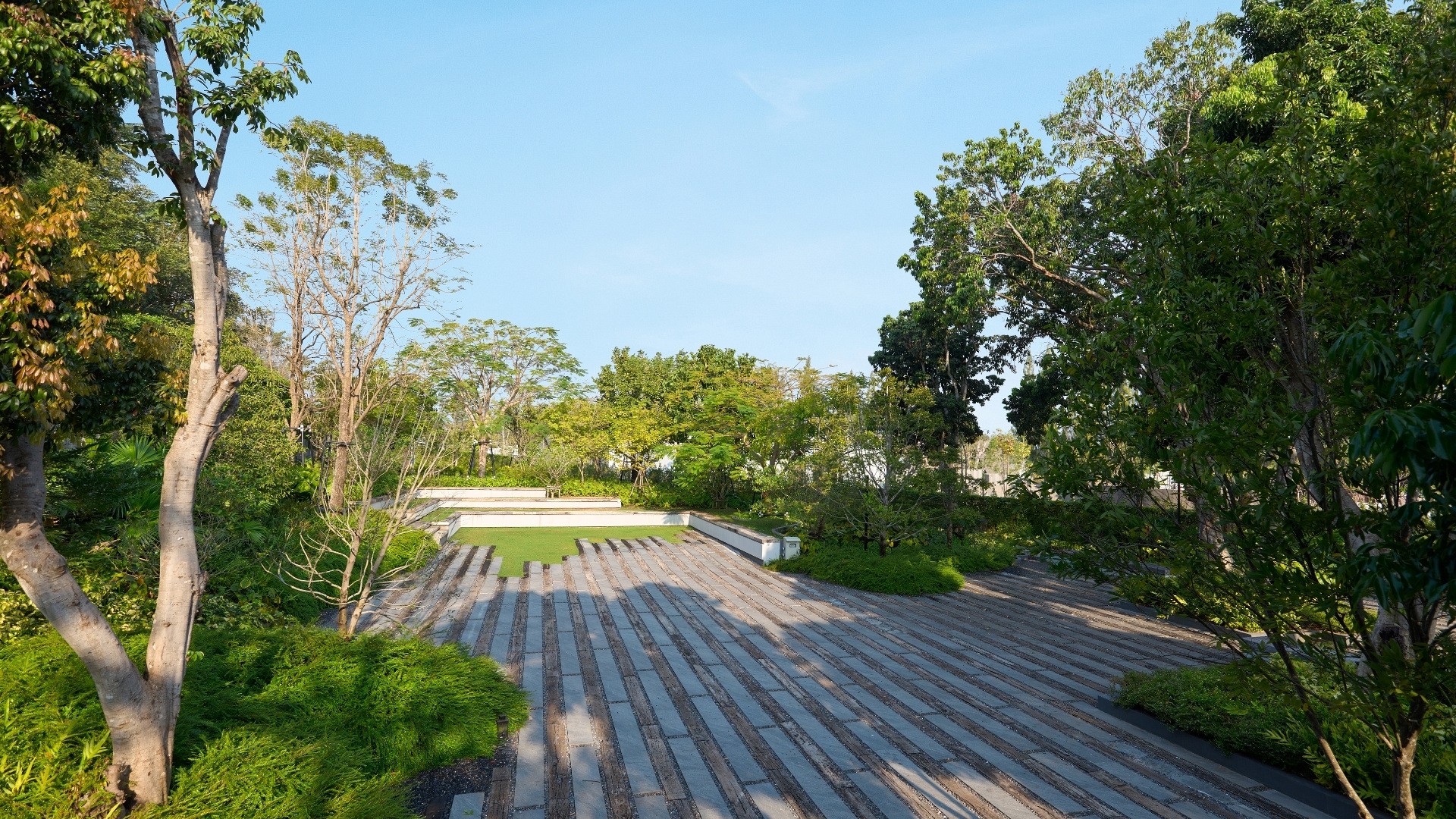 Facilities & Services